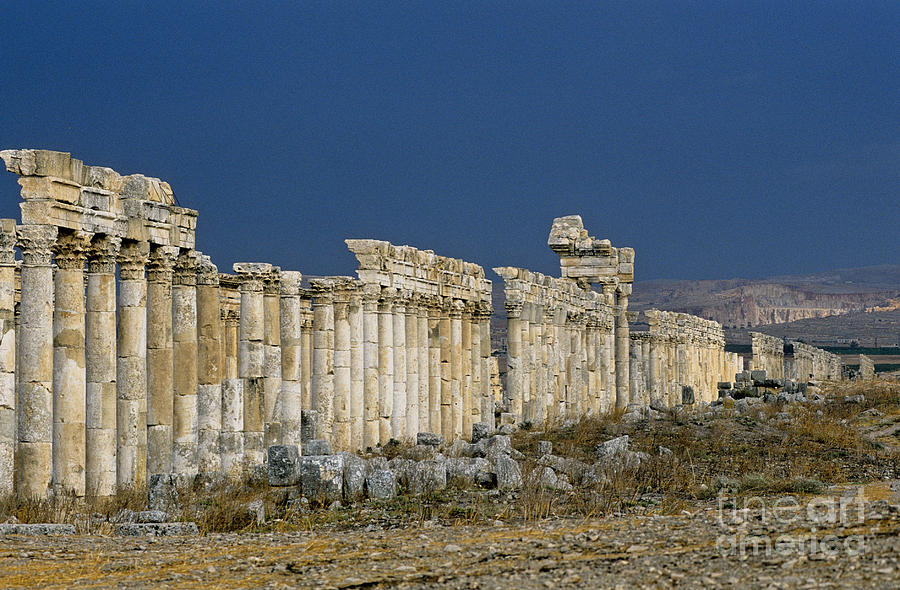 Colonnade At Apamea, Syria Photograph by Adam Sylvester