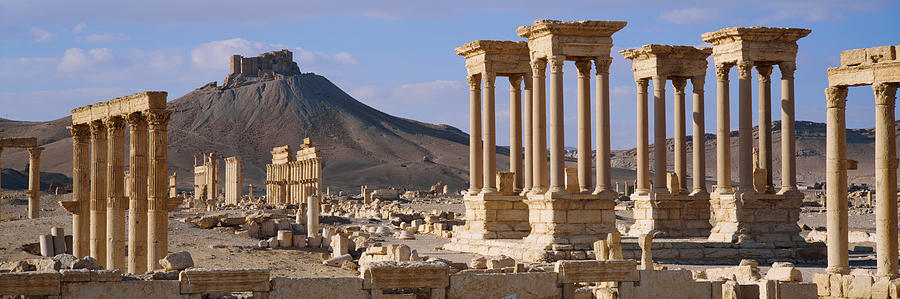 Colonnades On An Arid Landscape Photograph by Panoramic Images
