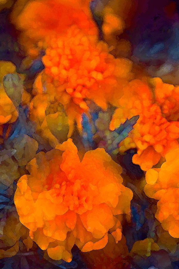 Color 136 Photograph by Pamela Cooper