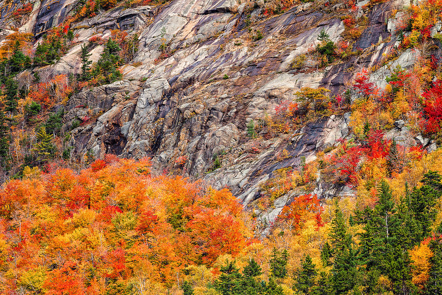 Color And Granite In Crawford Notch Photograph by Jeff Sinon