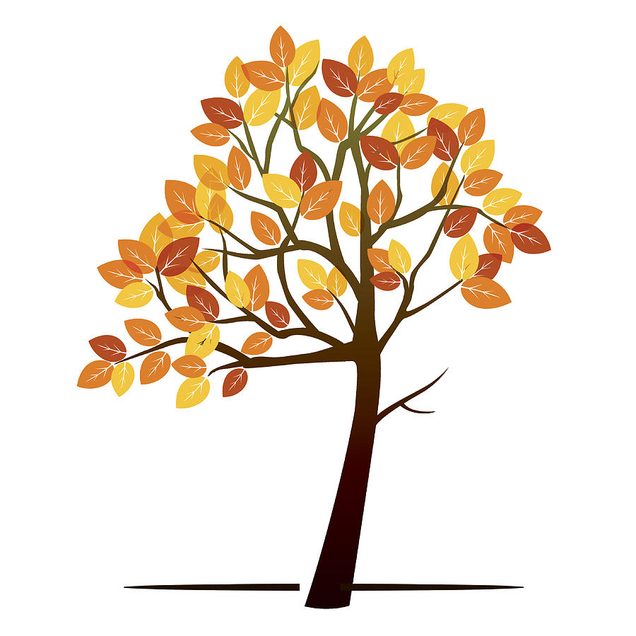 10+ Best For Autumn Tree Drawing Images | Creative Things Thursday