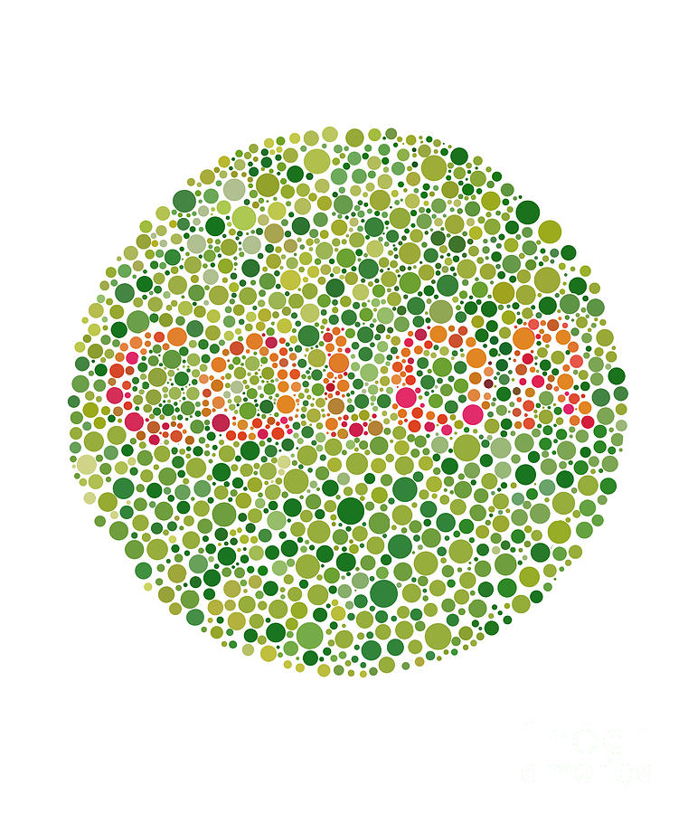 Color Blindness Test Photograph by Spencer Sutton