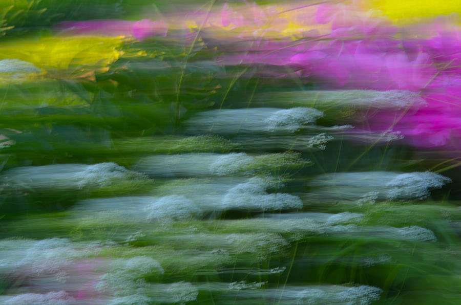 Color Blown Photograph by Michael Hubley