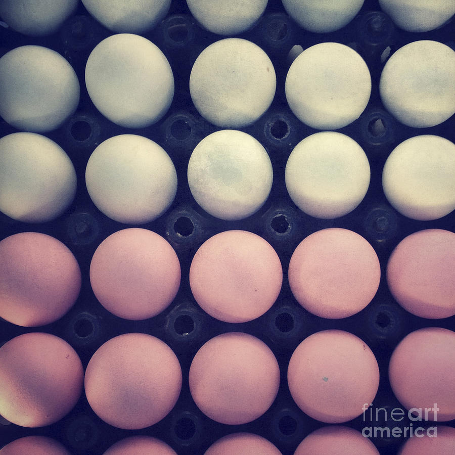Color eggs Photograph by Ivy Ho