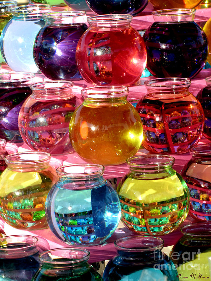 Color Fish Bowls Photograph by Donna Brown