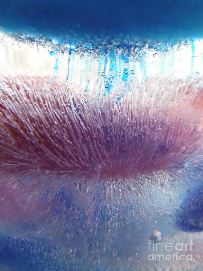 Color In Ice Series 120 Photograph by Paddy Shaffer
