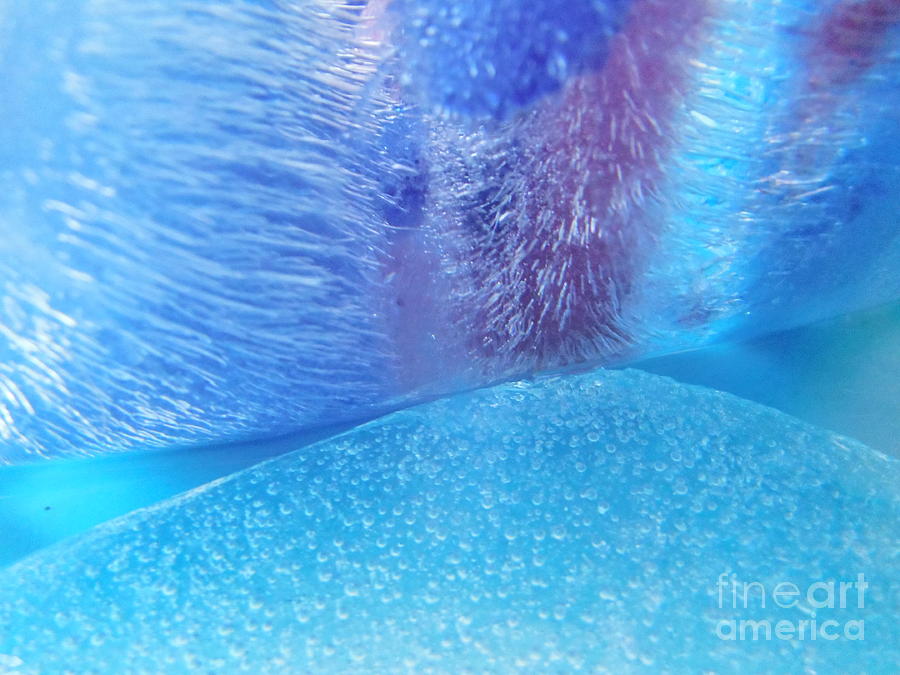 Color In Ice Series 121 Photograph by Paddy Shaffer