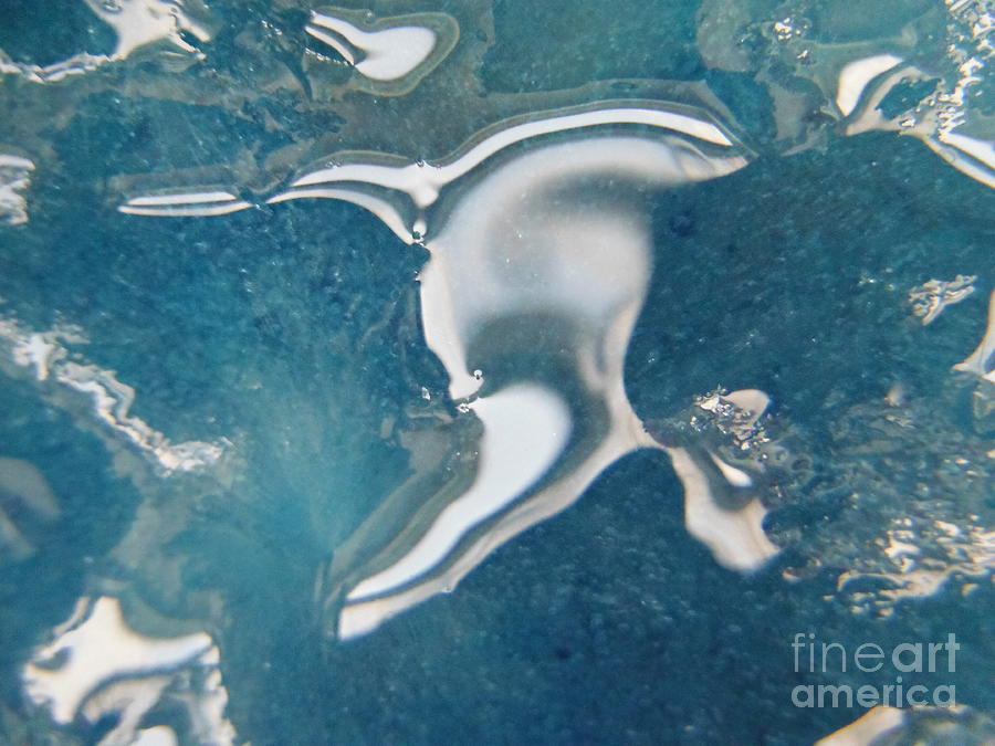 Color In Ice Series 133 Photograph by Paddy Shaffer