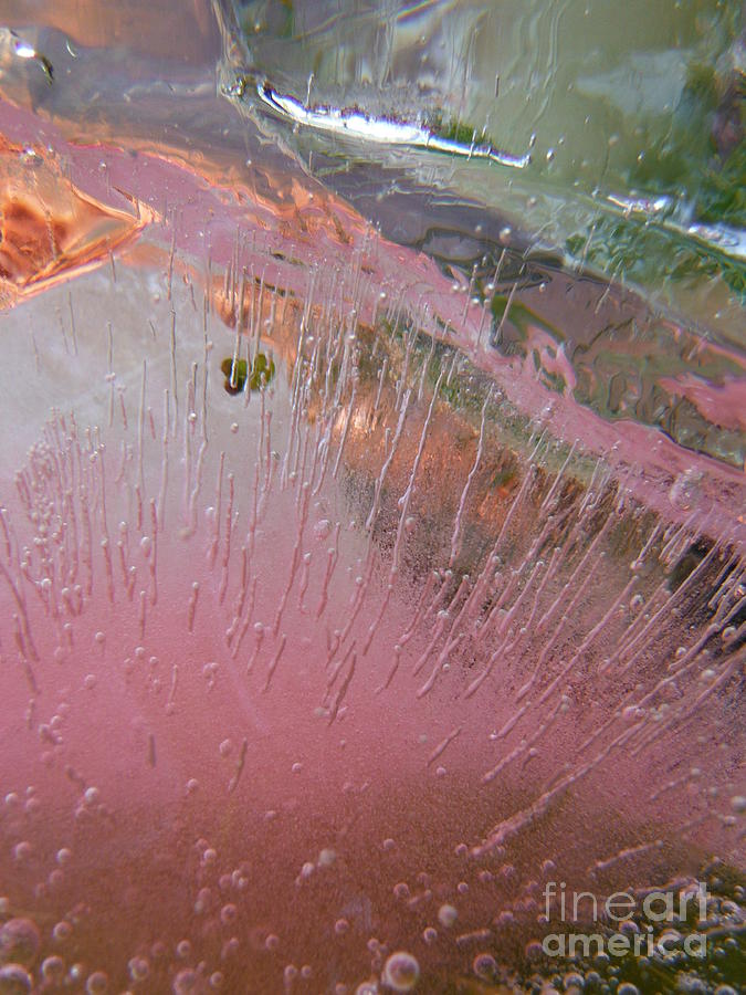 Color In Ice Series 164 Photograph by Paddy Shaffer