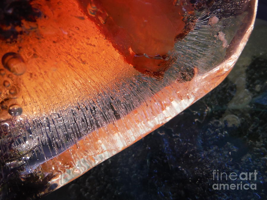 Color In Ice Series 169 Photograph by Paddy Shaffer