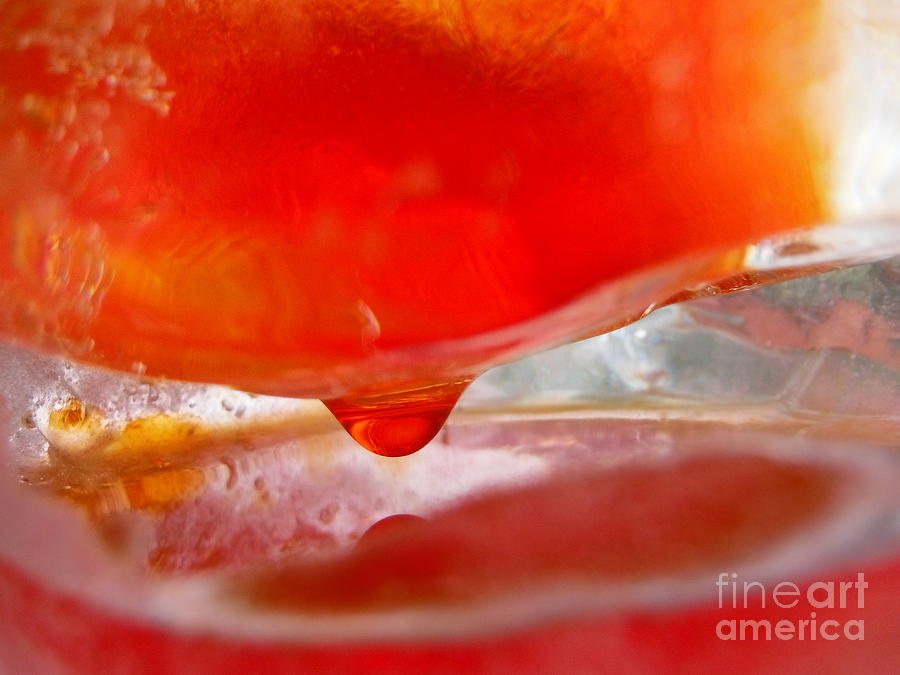 Color In Ice Series 2 Photograph by Paddy Shaffer