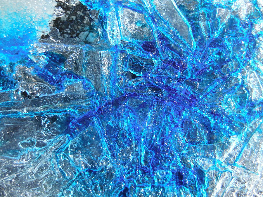 Color In Ice Series 50 Photograph by Paddy Shaffer
