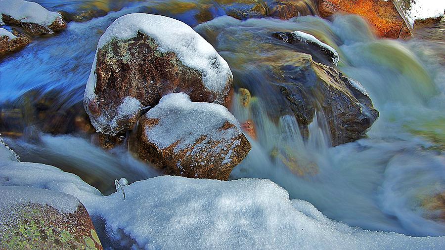 Color in the Creek Photograph by Matt Helm