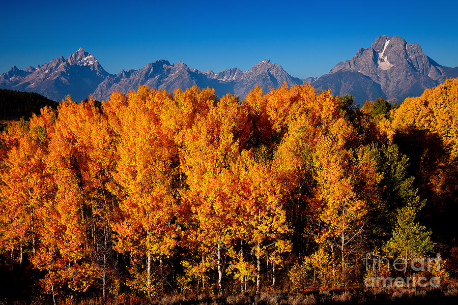 Color In The Tetons Photograph by Aaron Whittemore
