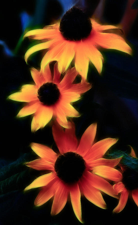 Flowers Of Fire Photograph by Athena Mckinzie