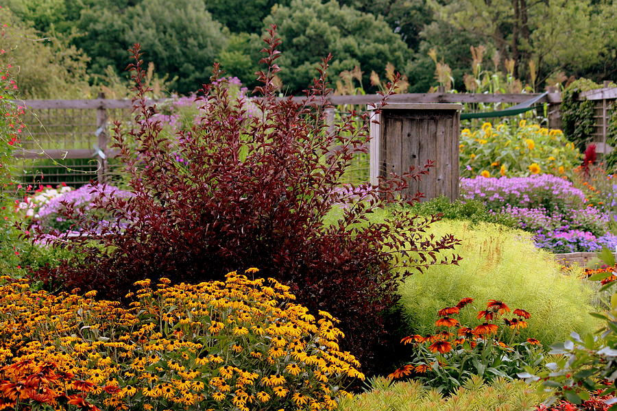Summer Gardens Photograph - Color Me Pretty Garden by Rosanne Jordan
