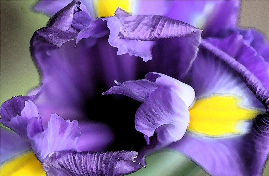 Color me purple Digital Art by Carrie OBrien Sibley