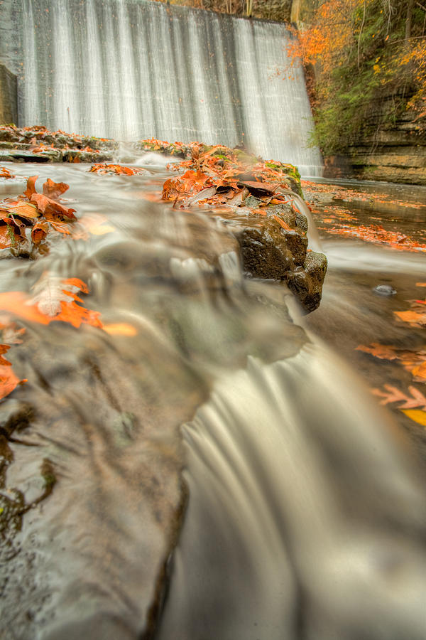 Color of Autumn Photograph by John Magyar Photography