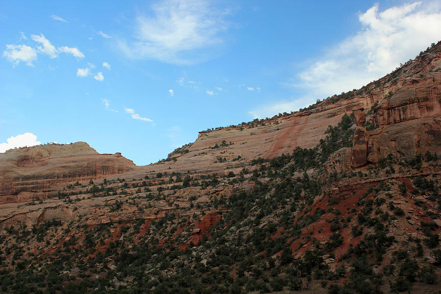 Color of Colorado National Monument Photograph by Mary Bedy
