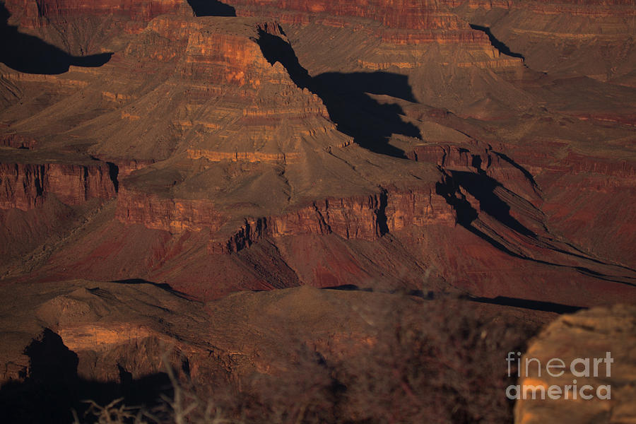Color of the Grand Canyon South Rim V4 Photograph by Douglas Barnard