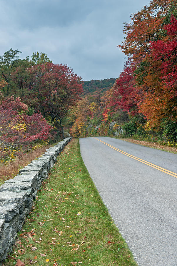 Fall Photograph - Color On The Blue Ridge Parkway   NC by Willie Harper