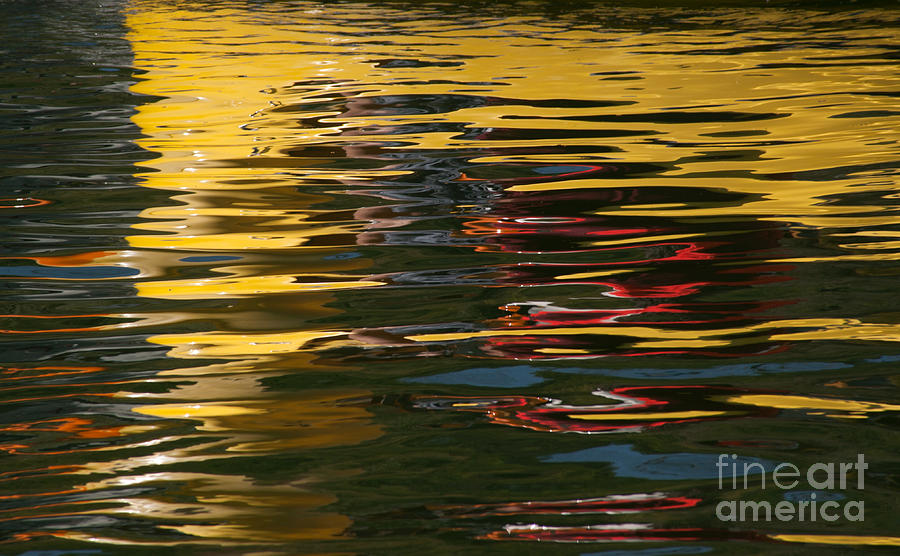 Color Reflection  Photograph by Catherine Lau