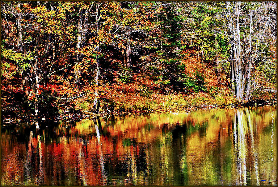 Color Reflections Photograph by Catherine Melvin - Fine Art America