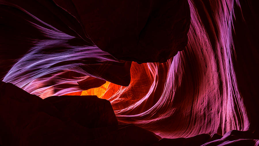 Nature Photograph - Color Ribbons by Chad Dutson