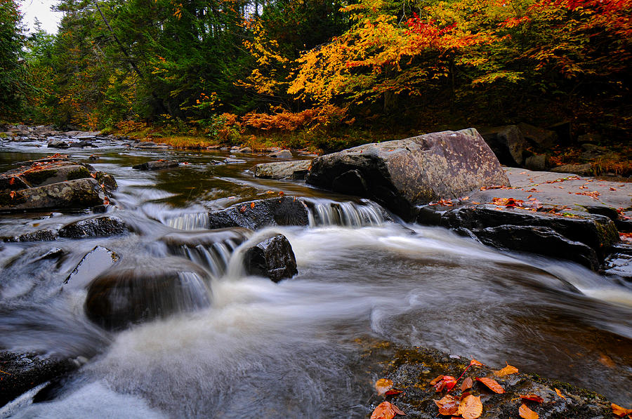 Color Splash Photograph by Mark Silk - Fine Art America