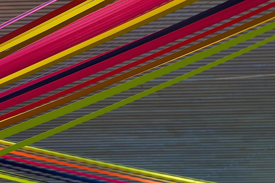 Color Strips Photograph by Stuart Litoff