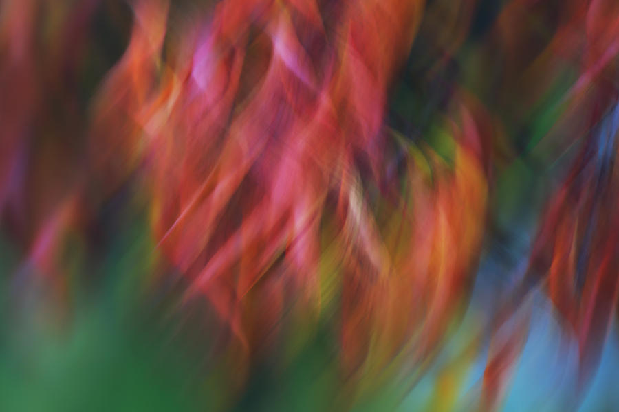 Colour Swirl Photograph by Rachel Cohen