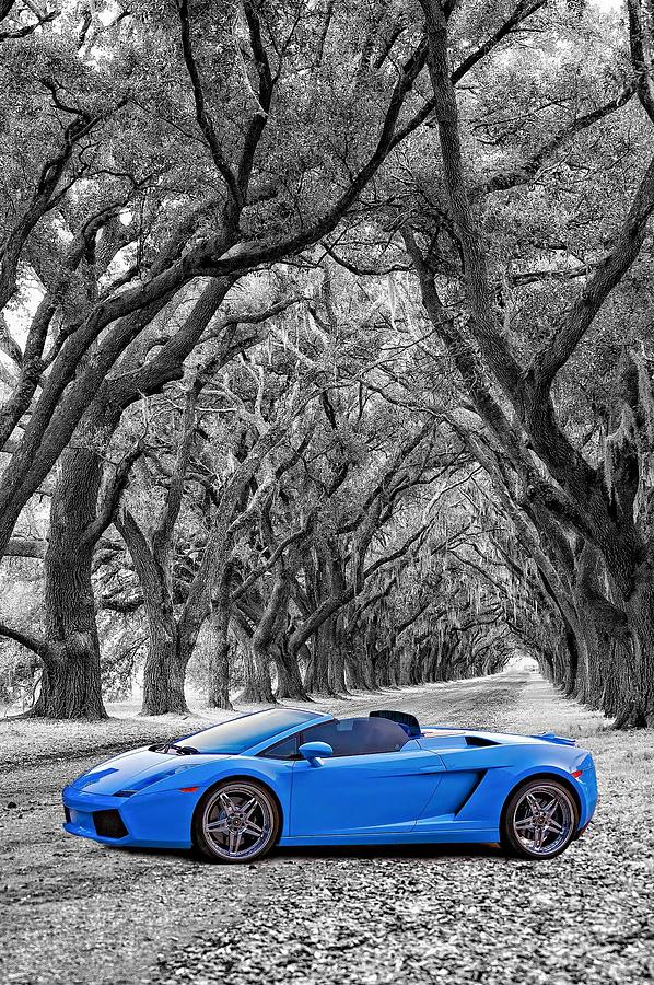 Color Your World - Lamborghini Gallardo Photograph by Steve Harrington