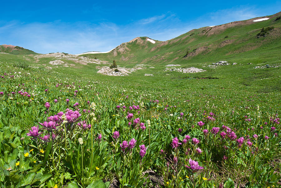 Colorado Alpine Summer Landscape Photograph by Cascade Colors