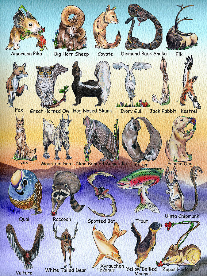 Colorado Animal Alphabet Mixed Media by Eric Fronapfel - Fine Art America