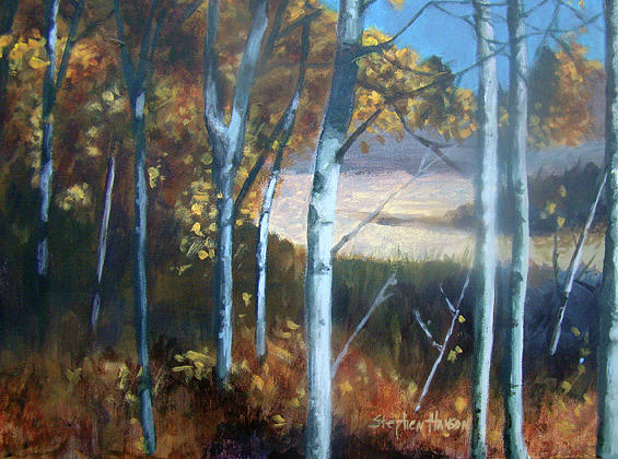 Colorado Springs Painting - Colorado Aspen Grove by Stephen Hanson