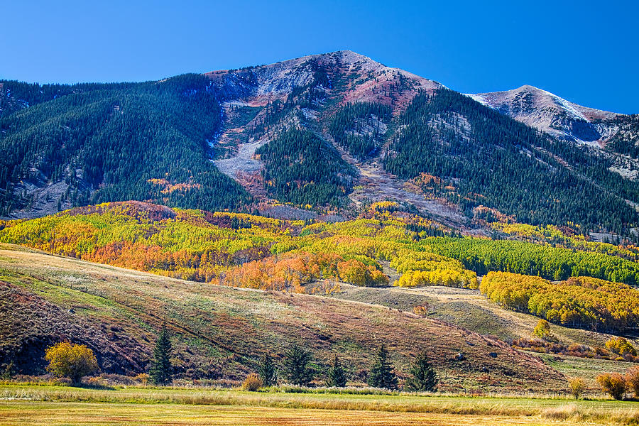 Colorado Autumn Air Photograph by James BO Insogna