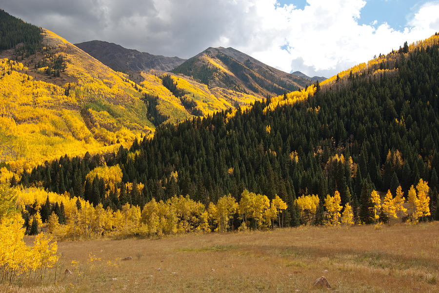 Colorado Autumn Aspen Landscape Photograph by Cascade Colors