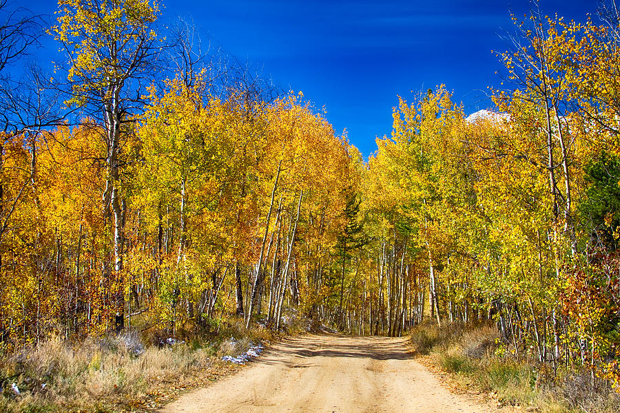 Colorado Autumn Back Country Road Photograph by James BO Insogna