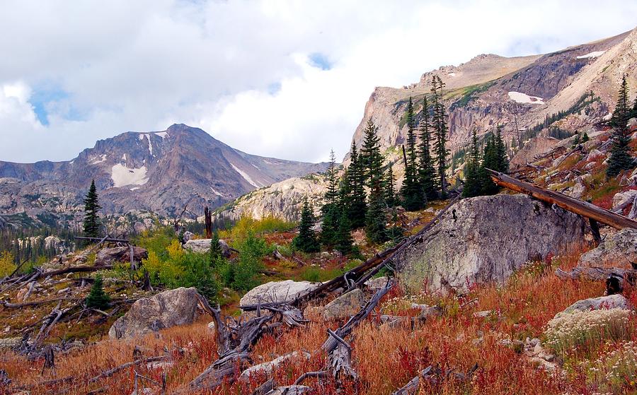 Colorado Autumn Color Landscape Photograph by Cascade Colors