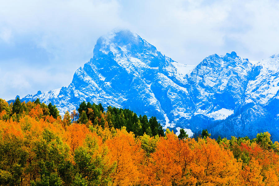 Colorado Autumn Foliage And Snow-capped Photograph by Dszc