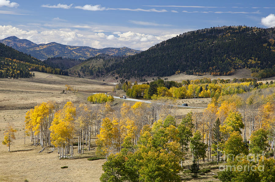 Colorado Autumn  by Jim West