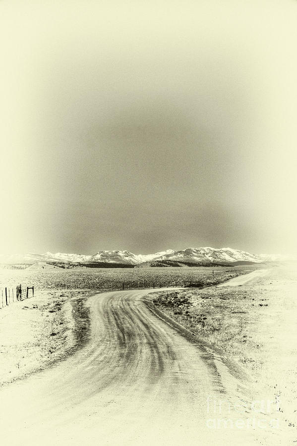 Colorado Back Road Photograph by David Waldrop