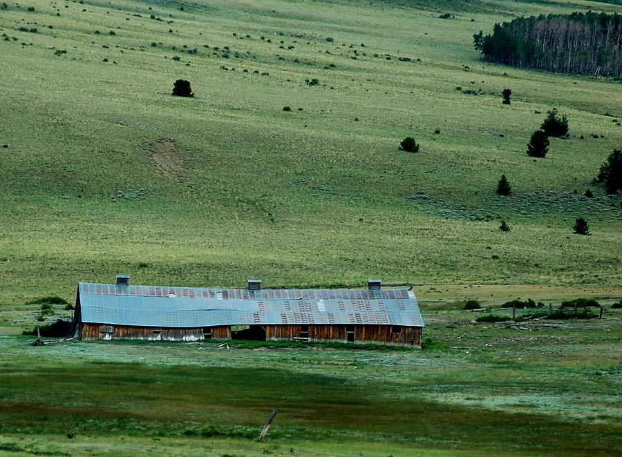Colorado Barn On High Mountain Meadow Photograph
