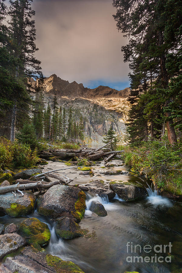 Colorado Beauty Photograph by Steven Reed