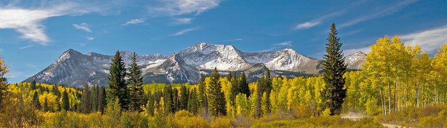 Colorado Colorado Aspen Trees And Snow Capped Mountains Photograph by Willie Harper