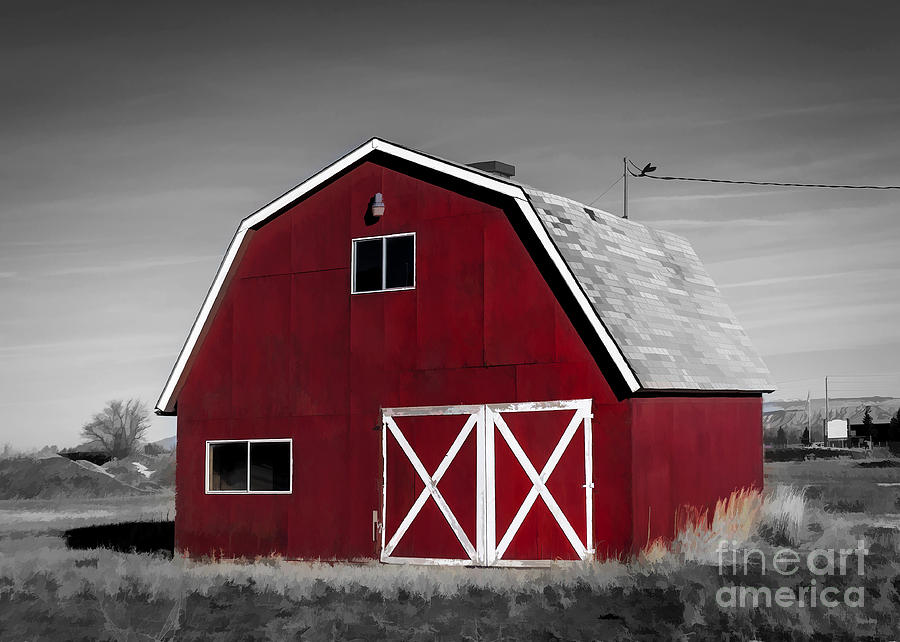 Colorado Colorized Red Barn Photograph by Janice Pariza