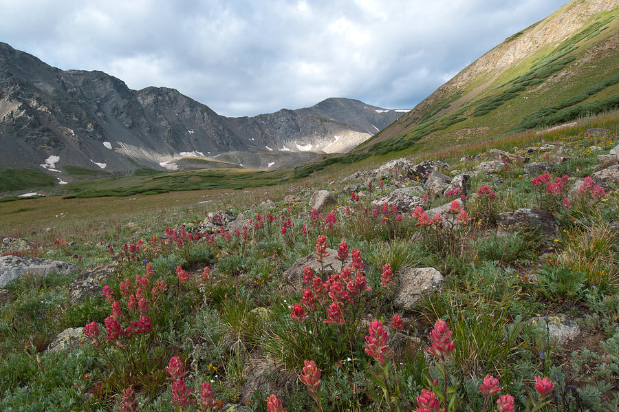Colorado Early Morning Summer Landscape with Grays Peak Photograph by Cascade Colors