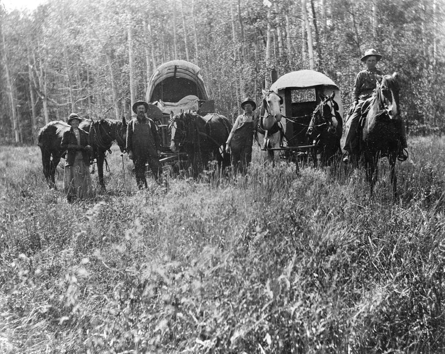 Colorado Emigrants, C1875 Photograph by Granger - Fine Art America