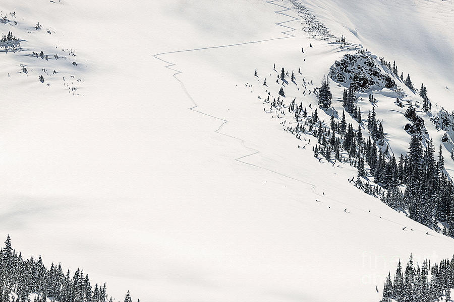 Colorado Extreme Skiing Photograph by Janice Pariza