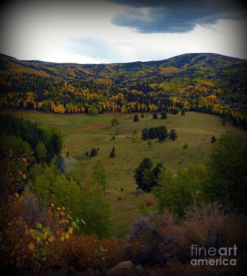 Colorado Fall Photograph by Michelle Frizzell-Thompson